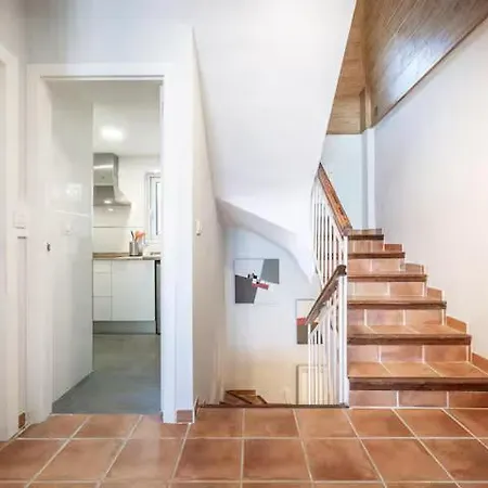 Optimum Copos Altos *