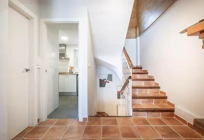 Optimum Copos Altos *